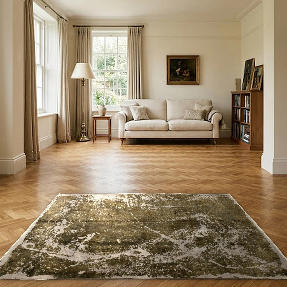 Room view: the rug on the floor of a furnished room