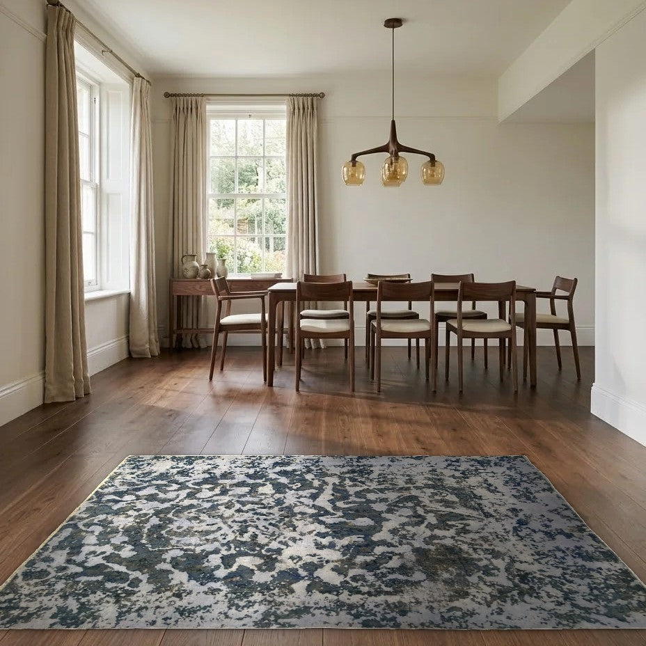 Room view: the rug on the floor of a furnished room