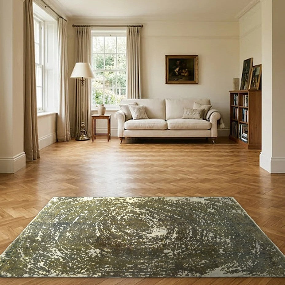 Room view: the rug on the floor of a furnished room