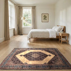 Room view: the rug on the floor of a furnished room