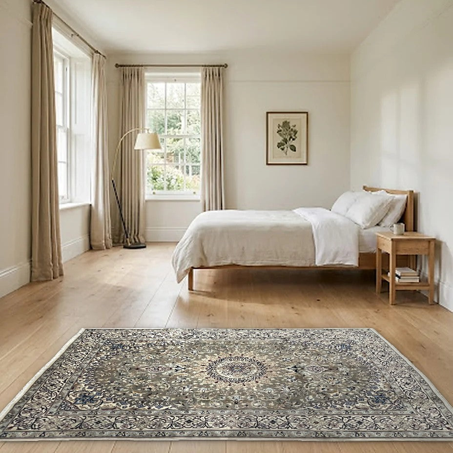 Room view: the rug on the floor of a furnished room