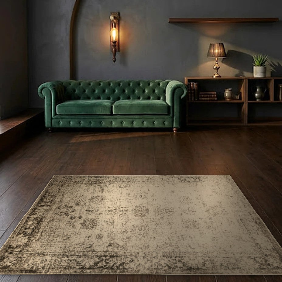 Room view: the rug on the floor of a furnished room