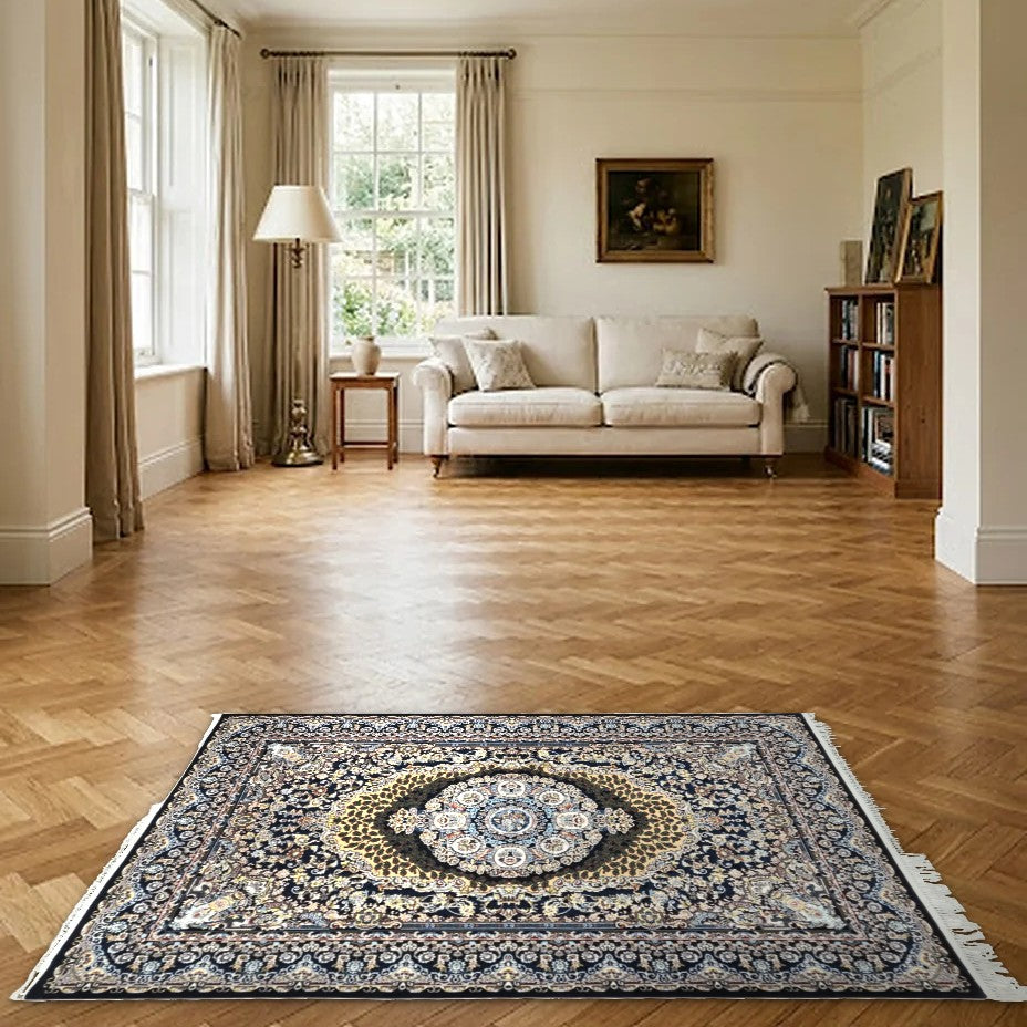 Room view: the rug on the floor of a furnished room