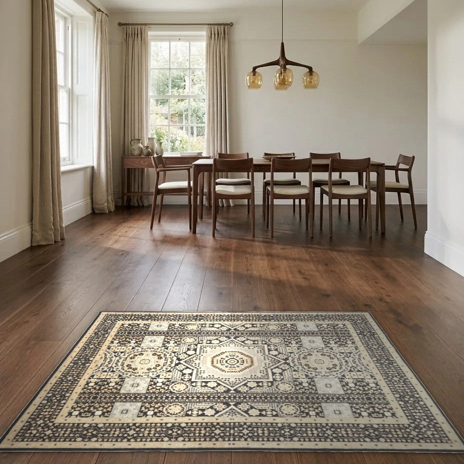 Room view: the rug on the floor of a furnished room