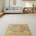 Room view: the rug on the floor of a furnished room