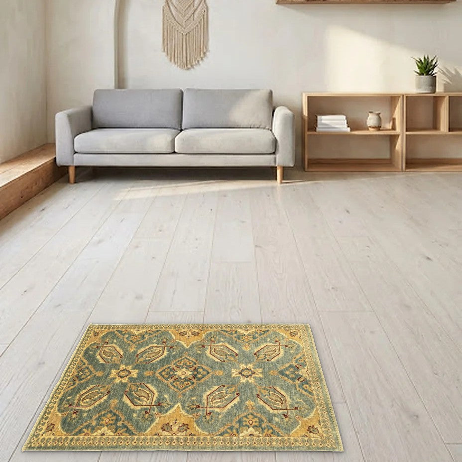 Room view: the rug on the floor of a furnished room