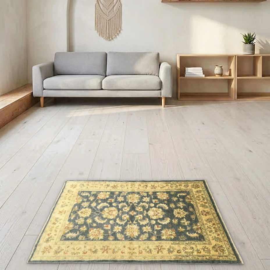 Room view: the rug on the floor of a furnished room