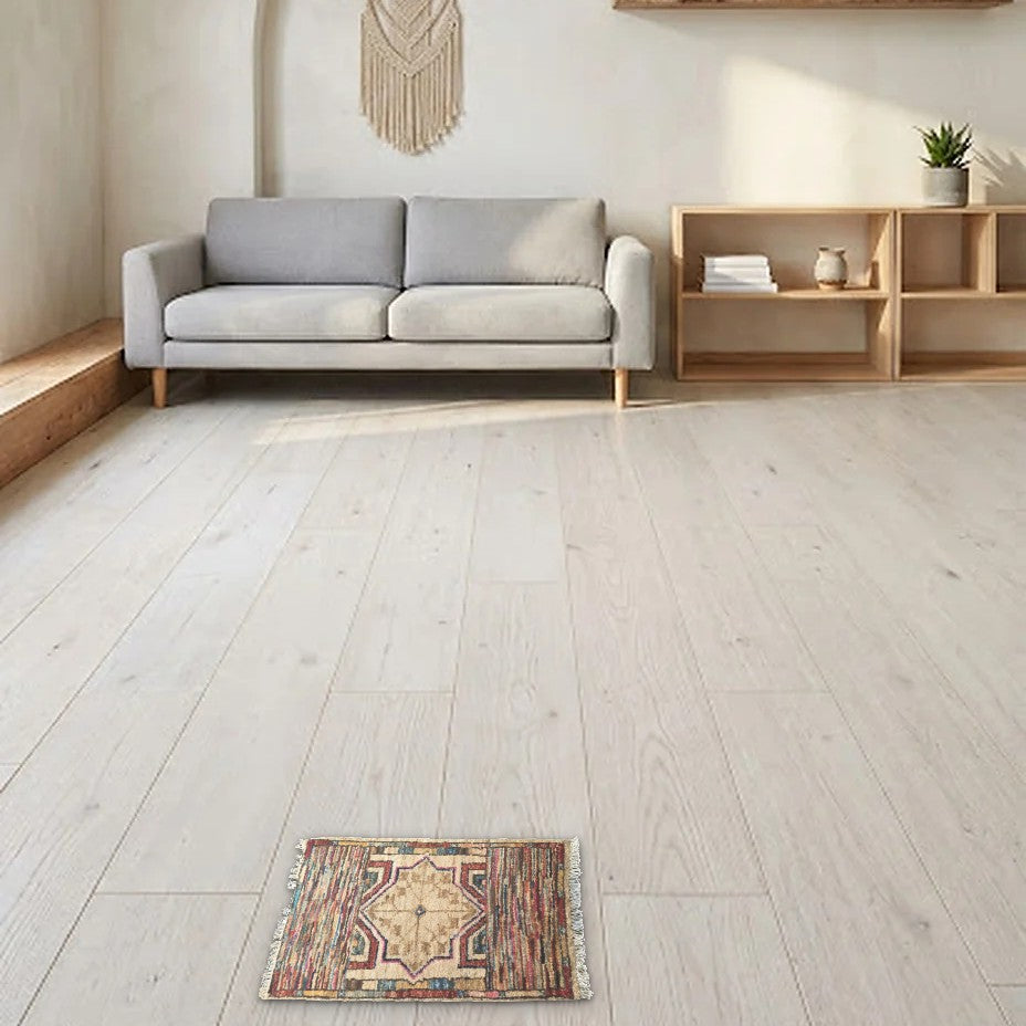 Room view: the rug on the floor of a furnished room