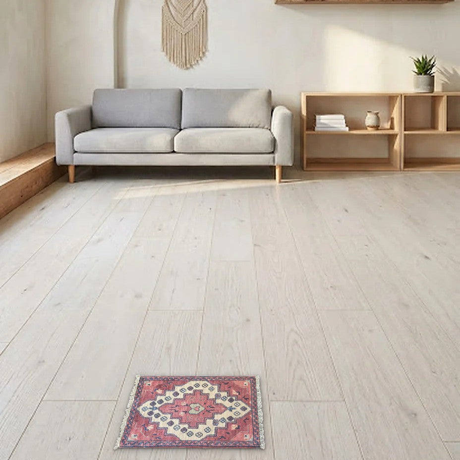 Room view: the rug on the floor of a furnished room