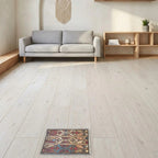Room view: the rug on the floor of a furnished room