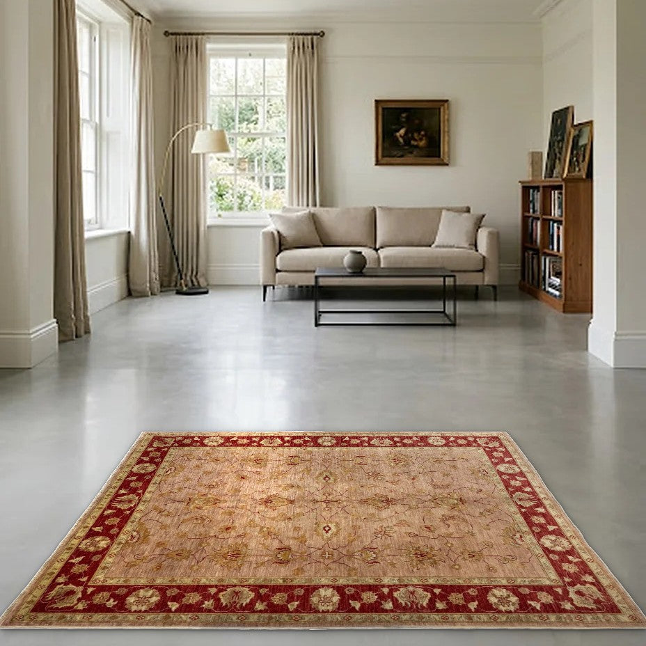 Room view: the rug on the floor of a furnished room