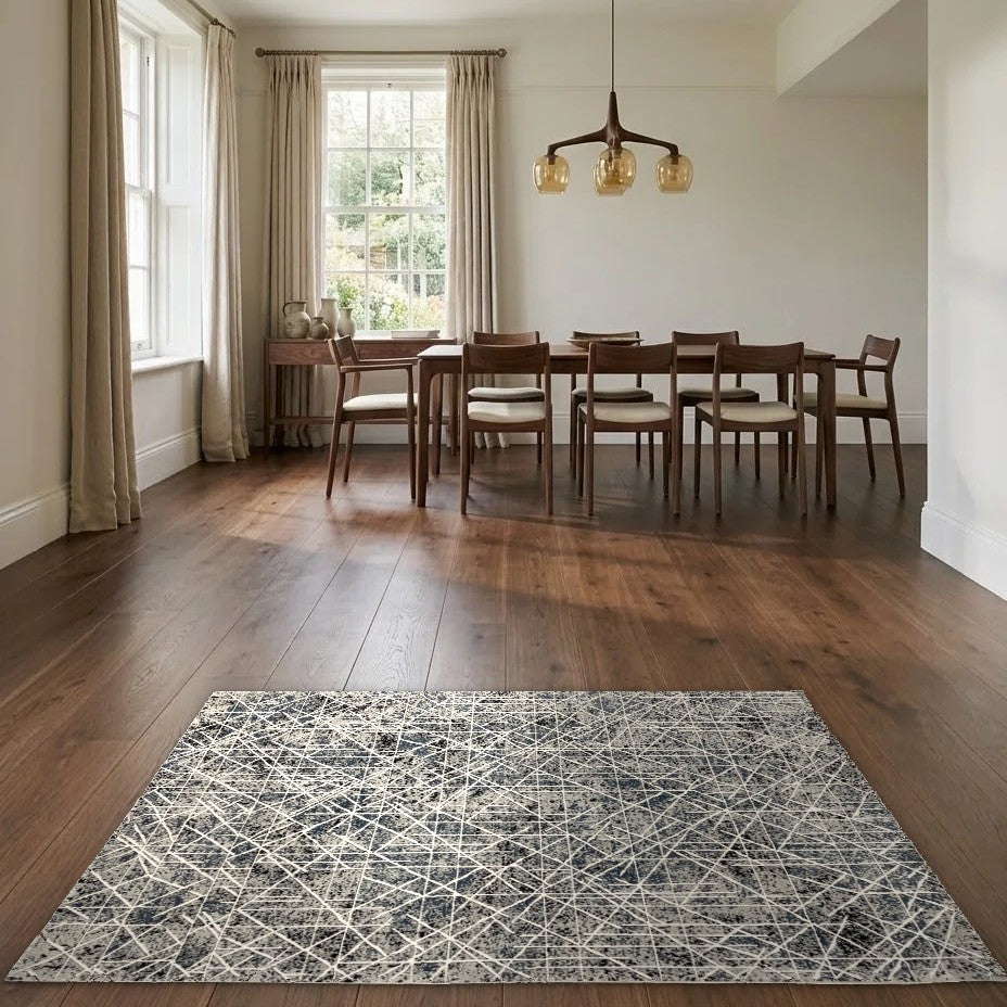 Room view: the rug on the floor of a furnished room