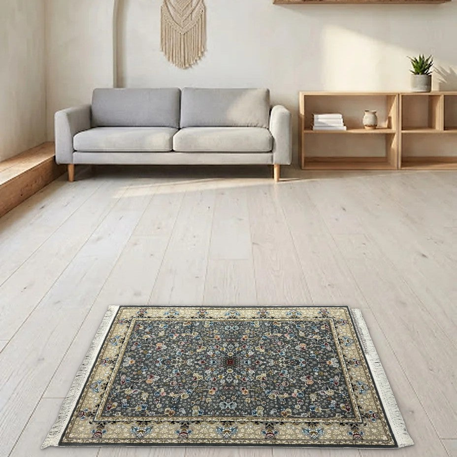 Room view: the rug on the floor of a furnished room