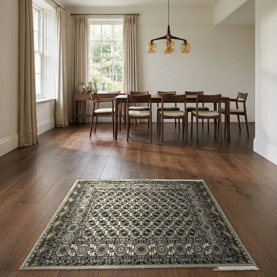 Room view: the rug on the floor of a furnished room