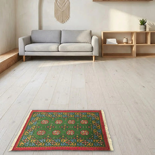 Room view: the rug on the floor of a furnished room