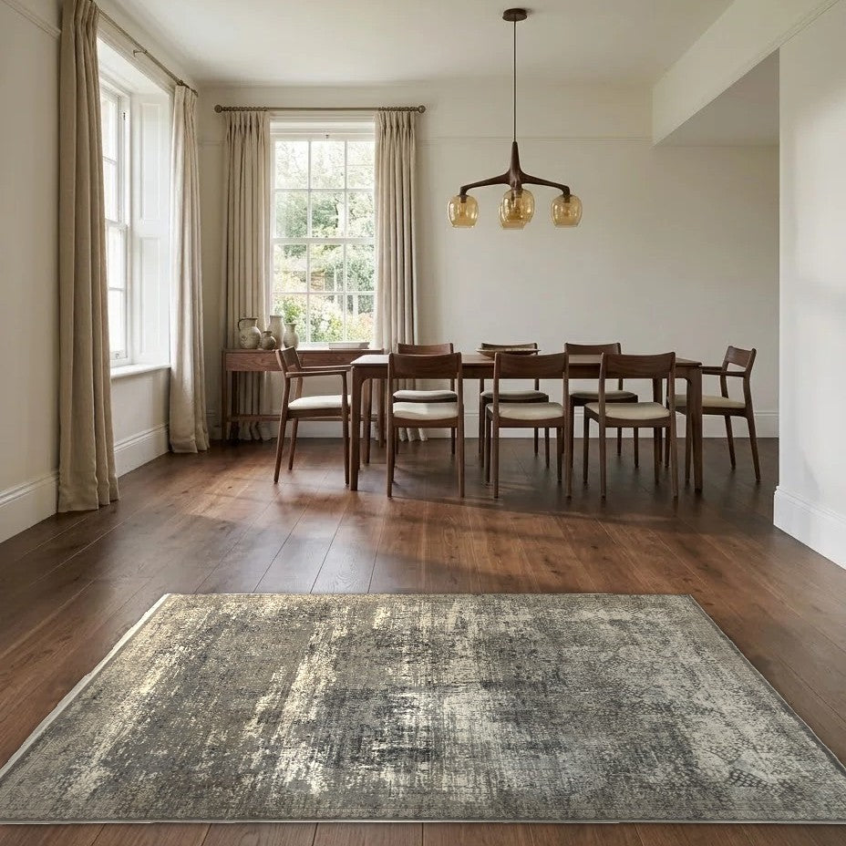 Room view: the rug on the floor of a furnished room