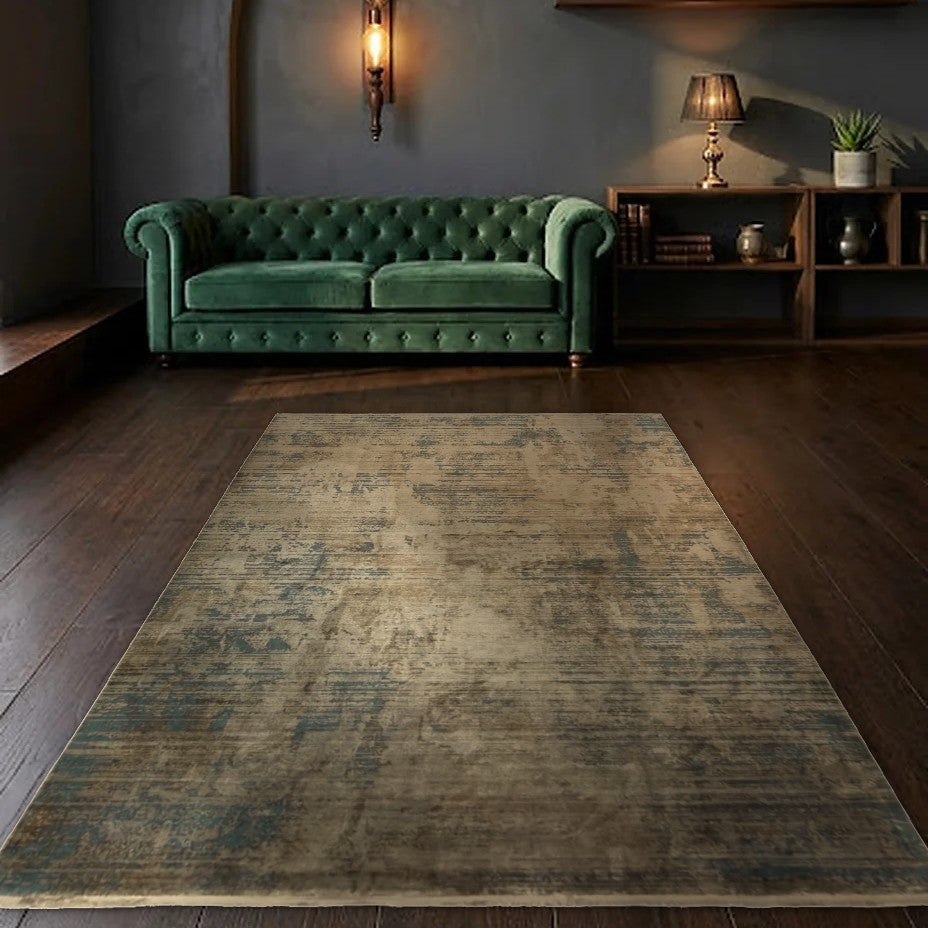 Room view: the rug on the floor of a furnished room