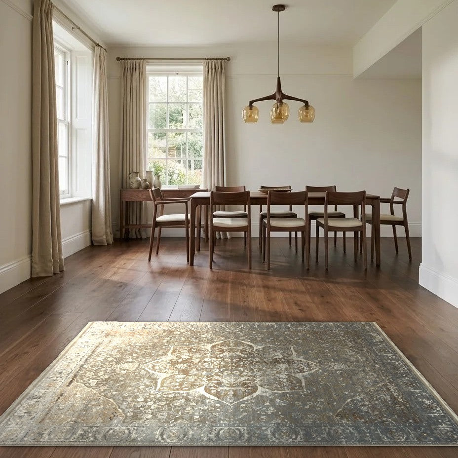 Room view: the rug on the floor of a furnished room