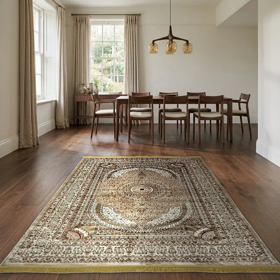 Room view: the rug on the floor of a furnished room