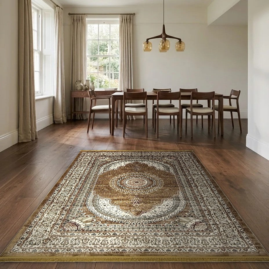 Room view: the rug on the floor of a furnished room