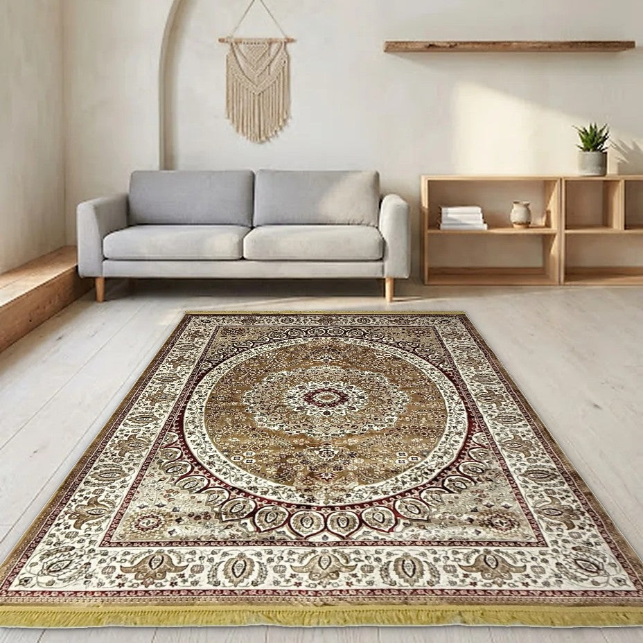 Room view: the rug on the floor of a furnished room