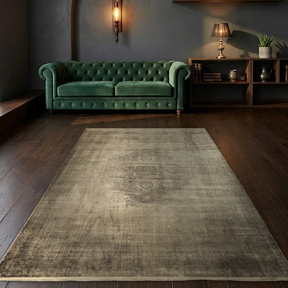 Room view: the rug on the floor of a furnished room