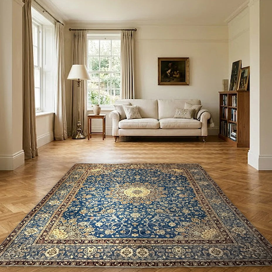 Room view: the rug on the floor of a furnished room