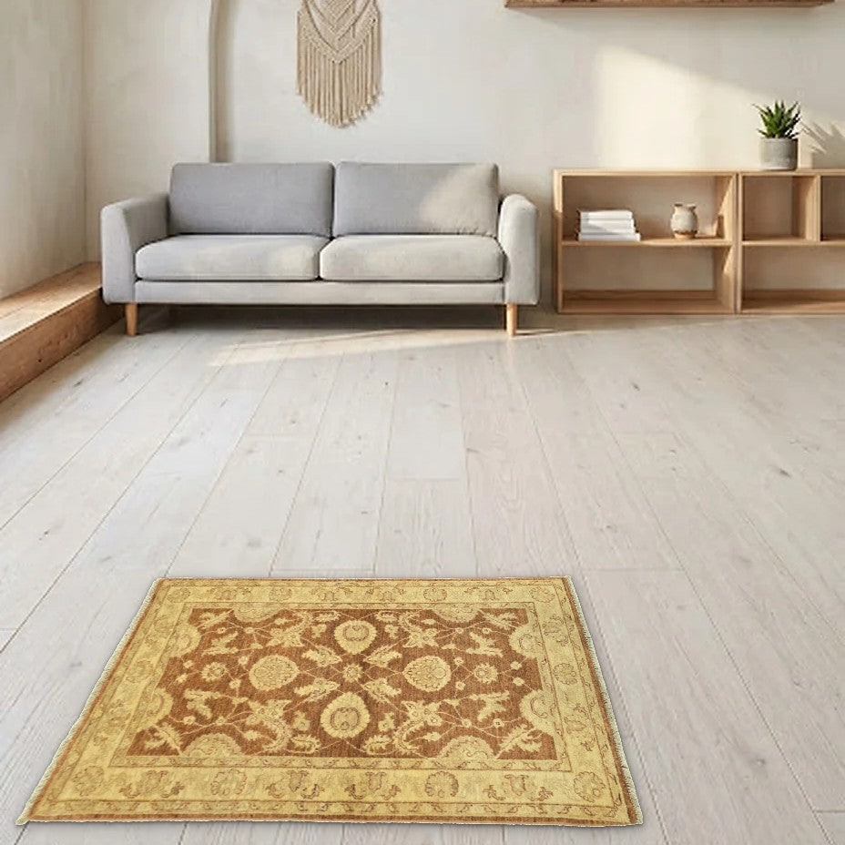 Room view: the rug on the floor of a furnished room
