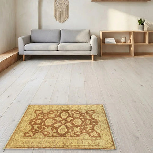 Room view: the rug on the floor of a furnished room