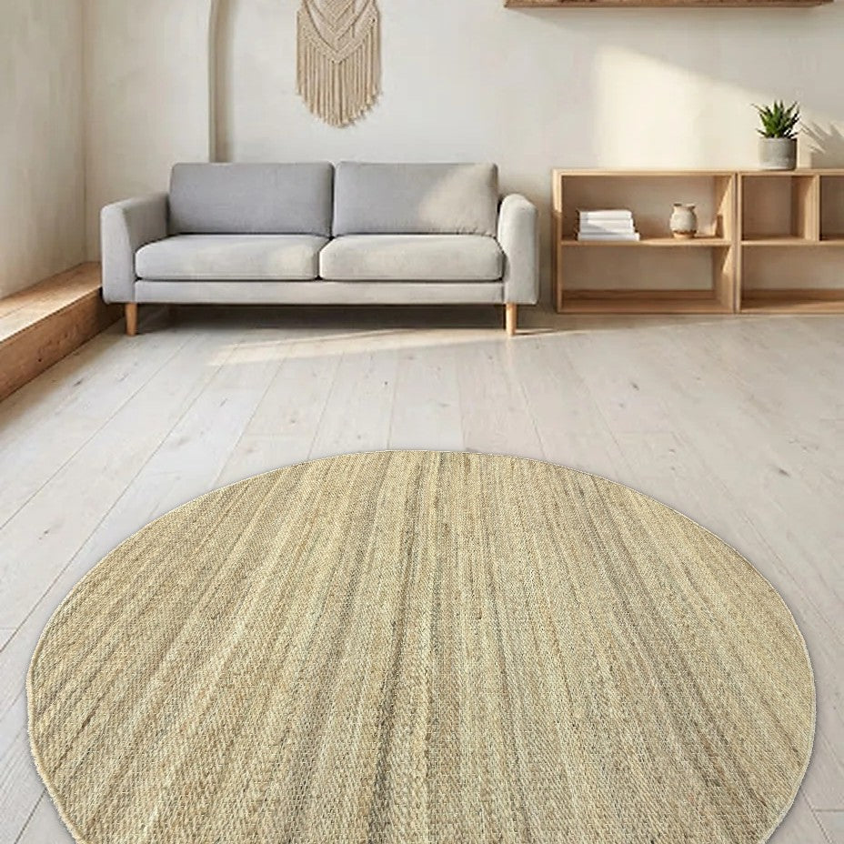 Room view: the rug on the floor of a furnished room