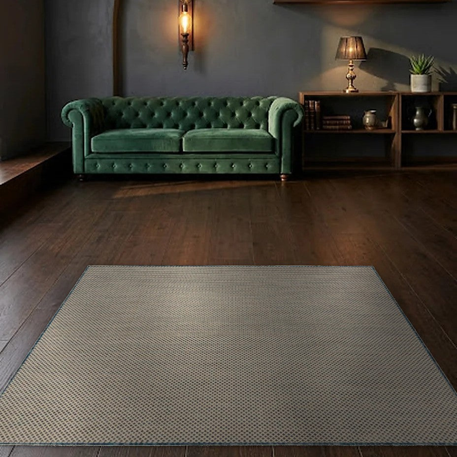 Room view: the rug on the floor of a furnished room