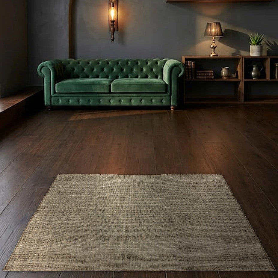 Room view: the rug on the floor of a furnished room