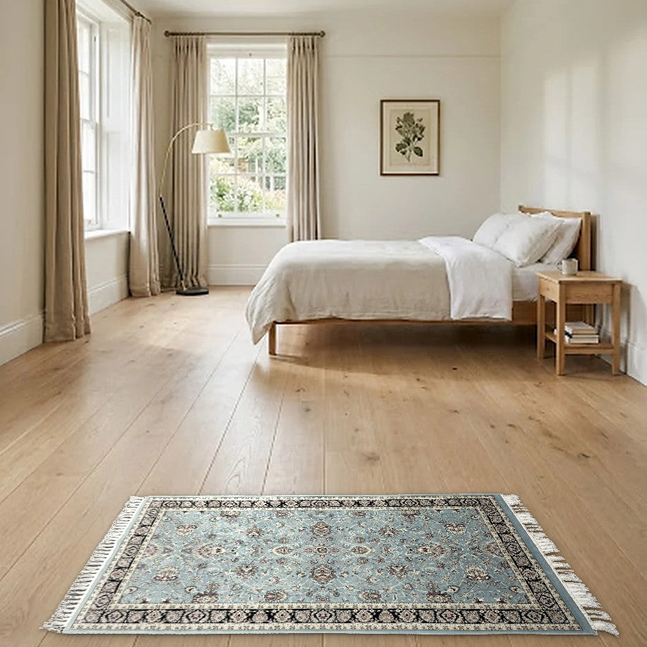 Room view: the rug on the floor of a furnished room