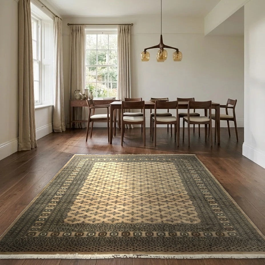 Room view: the rug on the floor of a furnished room