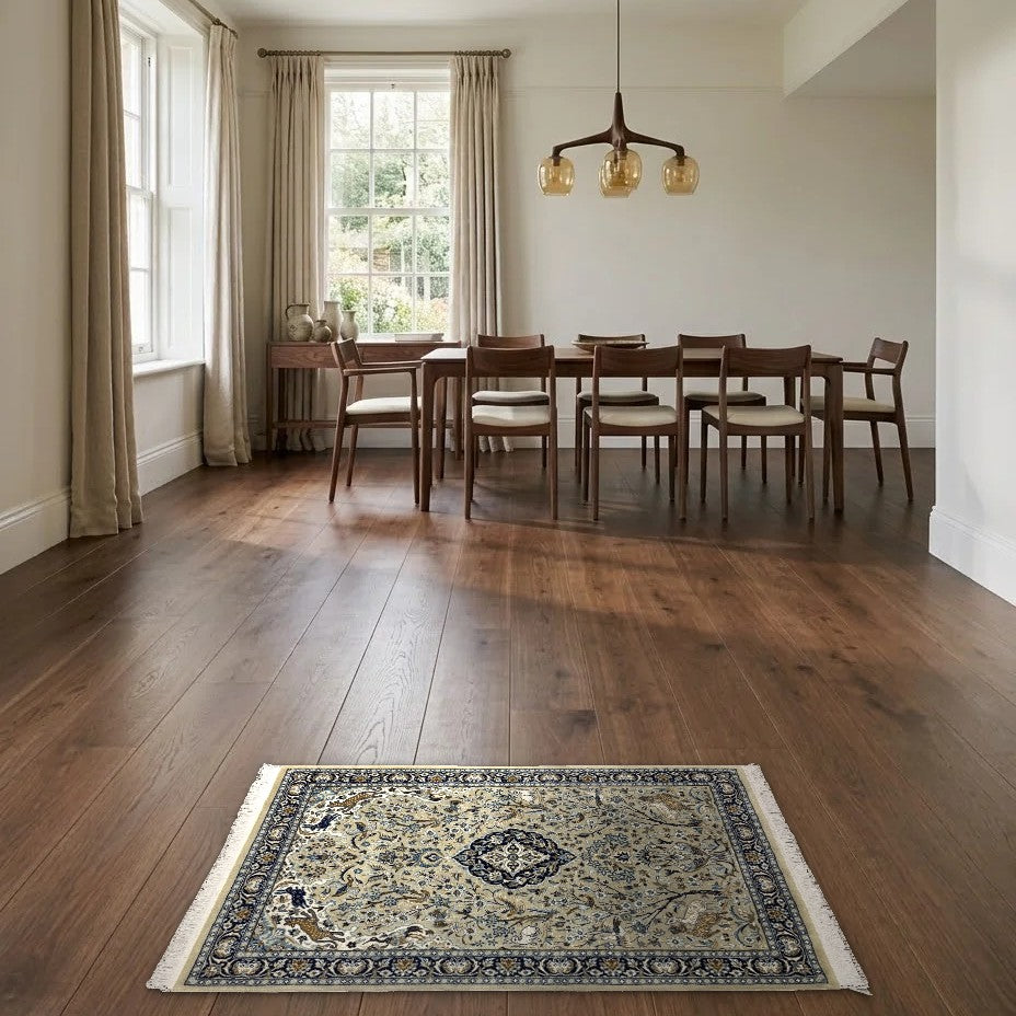 Room view: the rug on the floor of a furnished room