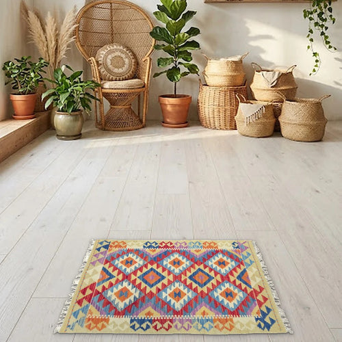 Room view: the rug on the floor of a furnished room