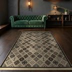 Room view: the rug on the floor of a furnished room