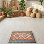 Room view: the rug on the floor of a furnished room