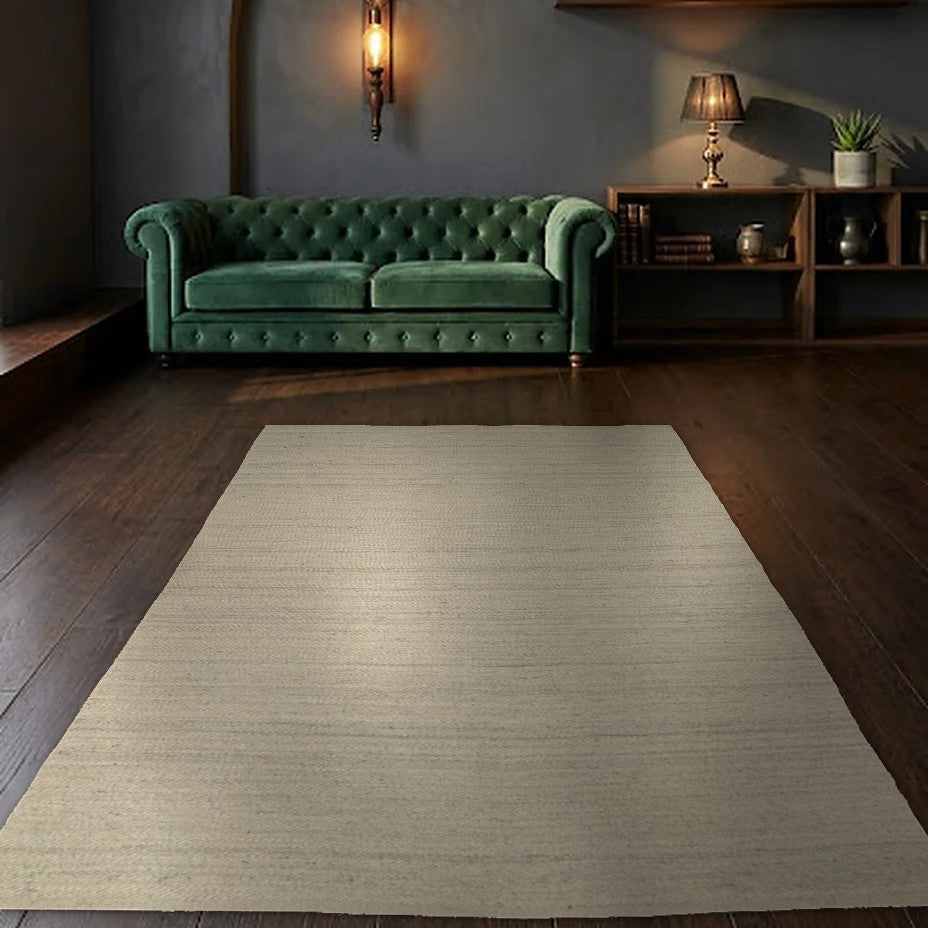 Room view: the rug on the floor of a furnished room