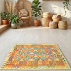 Room view: the rug on the floor of a furnished room