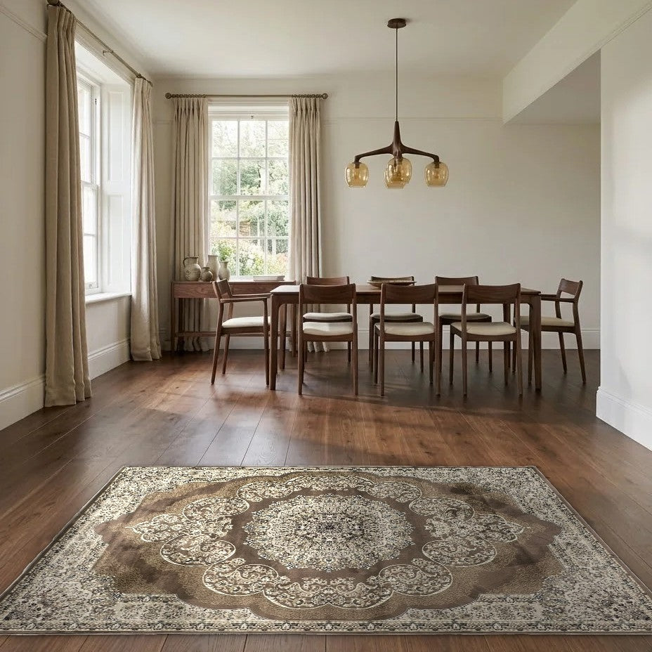 Room view: the rug on the floor of a furnished room