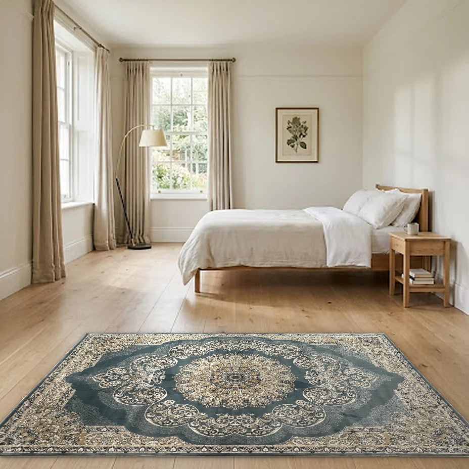 Room view: the rug on the floor of a furnished room