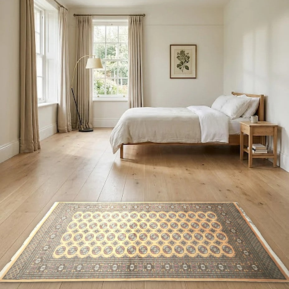 Room view: the rug on the floor of a furnished room