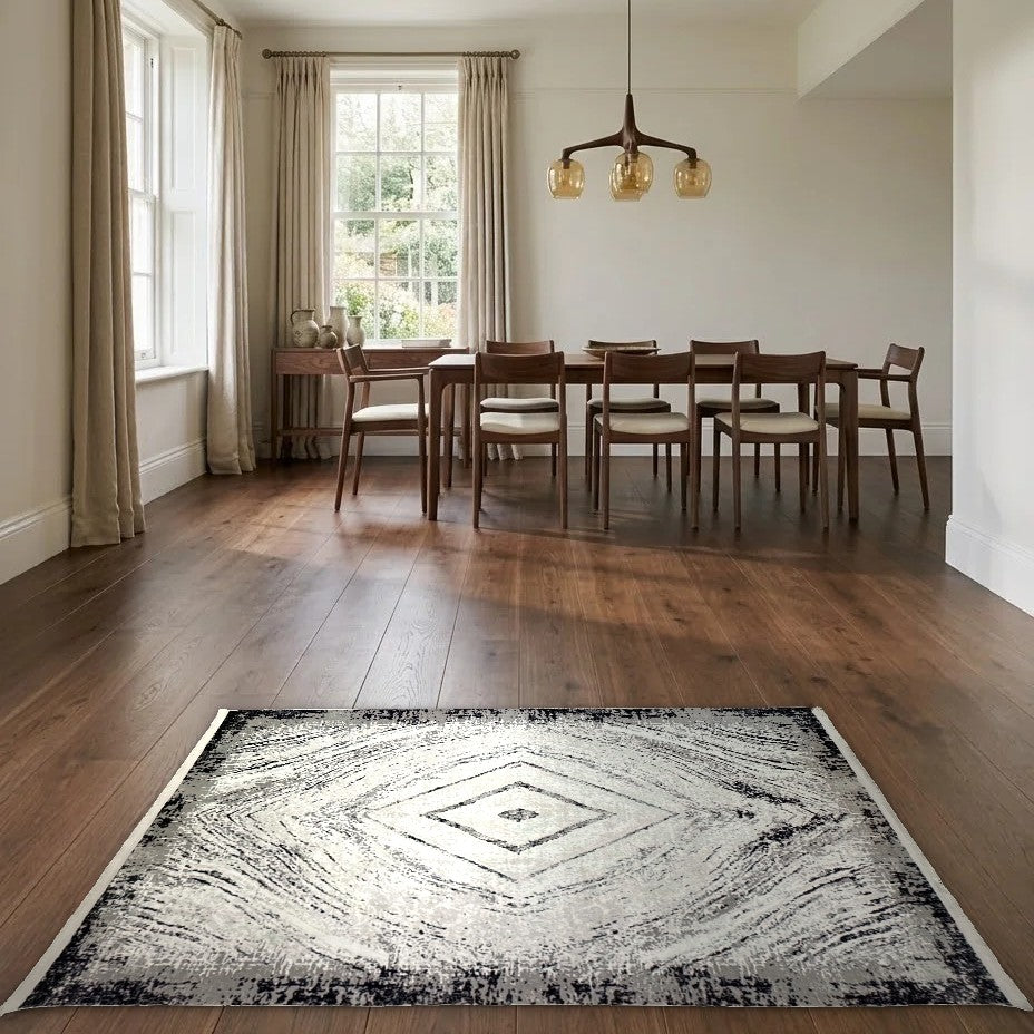 Room view: the rug on the floor of a furnished room