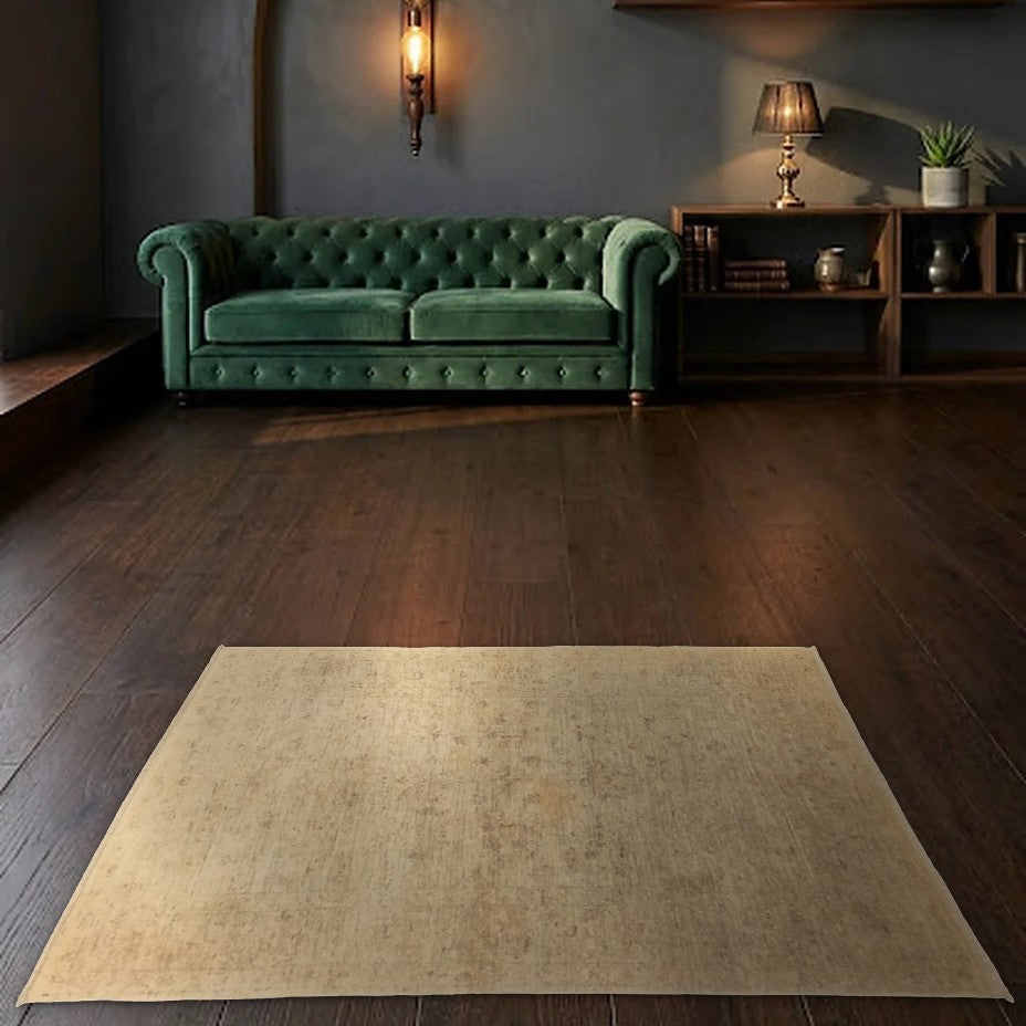 Room view: the rug on the floor of a furnished room