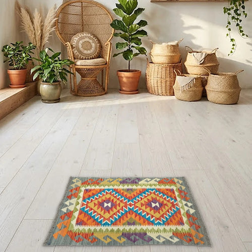 Room view: the rug on the floor of a furnished room