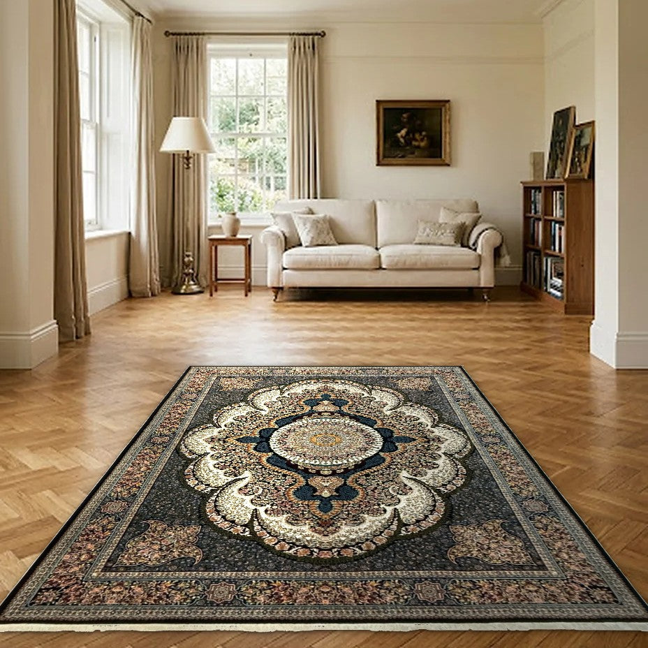 Room view: the rug on the floor of a furnished room