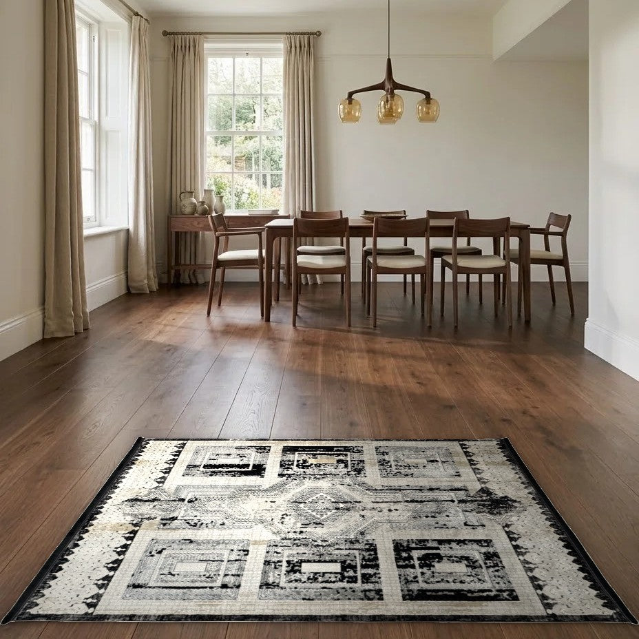 Room view: the rug on the floor of a furnished room