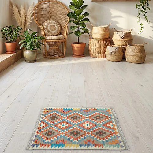 Room view: the rug on the floor of a furnished room