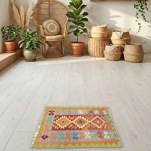 Room view: the rug on the floor of a furnished room